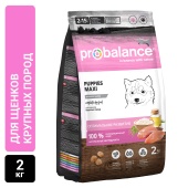 Сухой корм для щенков крупных пород Probalance Immuno Puppies Maxi, защита иммунитета, 2кг